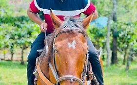 Barsati Ranches